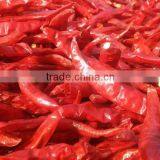 Indian Dry Chilli for Market Price thumbnail-1