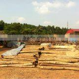 Commercial Plywood for Furniture thumbnail-6