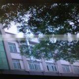 Dongguan Tian Qi Caps And Clothing Co., Ltd. company overview - view 1 thumbnail