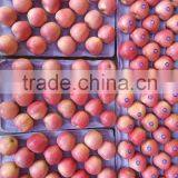 JINGCHUAN QINGUAN thumbnail-2