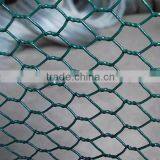 Chicken Wire Mesh/Rabbit Wire Mesh/Galvanized Hexagonal Wire Mesh