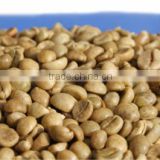 Coffee beans S13