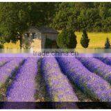 Embossed Flower Poly Canvas Painting thumbnail-1