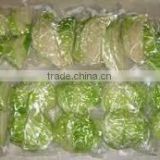Frozen Green Cabbage /Cabbages good for heathy