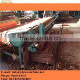 1.5mm Thickness A Grade Rotary Cut Okoume Veneer( Size 1300x2500mm) thumbnail-2