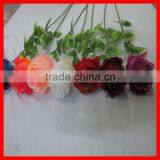 Single Stem Colorful Rose Flower