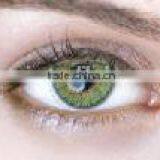 Wholesale 14.2mm Korea Blue Green Gray Different Color Cosmo Contact Lens thumbnail-3