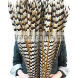 No.1 Manufactor ZPDECOR Best Selling Cheap Long Natural 60-70cm Length Reeves Venery Pheasant Tail Feathers thumbnail-4