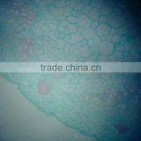 High Quality Export Indonesia Lab Using Microscope Prepared Slides thumbnail-6