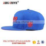 Hip Hop Adjustable Hat/customize Hat Snapback/High Quality Snapback Hat thumbnail-3