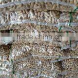 Peanuts in Shell 7-9,9-11,11-13 Specification thumbnail-6