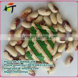 3000cc Food Grade Oxygen Absorber /powder Deoxidizer/ Oxygen Absorbent for Food thumbnail-5