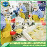 High Quality Japanese Grade Diced Garlic Cube Export to Word Market thumbnail-5