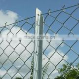 Galvanized/PVC Chain Link Fence