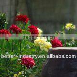 30L High Quality Plants Essential Oil Distillation Unit on Sale (EC) thumbnail-1