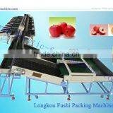 Double Line Electronic Fruit Grading Machine thumbnail-1