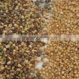 Engineer Oversea Service Available Soybean CCD Color Sorter thumbnail-3