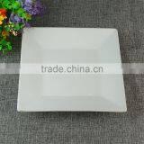 Unglazed Large Square White Ceramic Porcelain Dinner Plate Dishes thumbnail-1