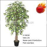 Hot Sale Artificial Variegated Ficus Tree thumbnail-1