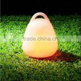 RGB Outdoor Christmas Led Light Lamp With 16 Colors Changing thumbnail-1