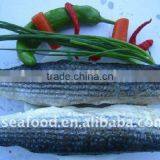 Frozen Grey Mullet Fillets(Mugil Cephalus) thumbnail-1