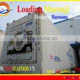 LOADING MUROAJI FOR TUNA BAIT thumbnail-1