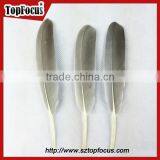 Cheap Colorf Cleaning Goose Artificial Feathers for DIY Sale Cheap thumbnail-1