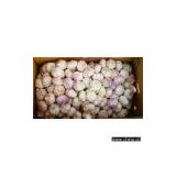 Sell Chinese Normal White Garlic