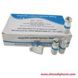 Western Medicine Ampicillin Sodium for Injection