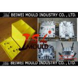 DME standard good quality plastic auto battery case mould