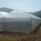 Agricultural Multi-span Hot Galvanized Steel Greenhouse Frame for Tomato thumbnail-5