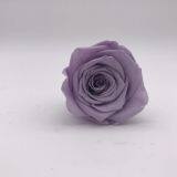 Preserved Flowers for Party Decoration thumbnail-5