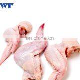 Chicken Wings Cutting Machine/Poultry Cutter for Price thumbnail-2