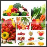 Factory Supply CE Approved Potato Washing Grading Machine Carrot Washing Machine thumbnail-4