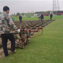 Lawn Care Professional Sod Cutter thumbnail-1