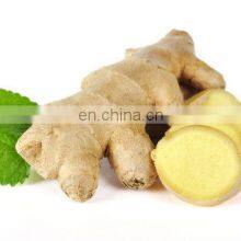 Chinese Frozen Ginger New Nutritional Supplements Iqf Frozen Ginger Slice Different Type Cube Dice Slice of Chinese Factory thumbnail-3