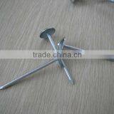 Galvanized Roofing Nails With Umbrella Head/umbrella Head Nails /galvanzied Roofing Nail thumbnail-3