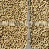New Products Roasted Peanut in Shell Peanut With Shell Peanuts in Shell thumbnail-2