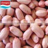 Hot Sale Peanut From China