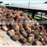 Professional Palm Oil Fractionation Line From Zhengzhou thumbnail-5