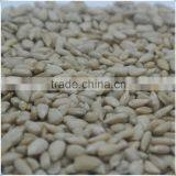 Sunflower Kernels Bakery thumbnail-2