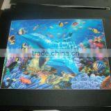 3D Sea Animal Frame Photos 3D Lenticular Framed Wall Photo