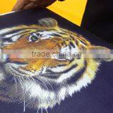 Competitive Price Nebular-Jet Digital t Shirt Printer Quality Choice thumbnail-3