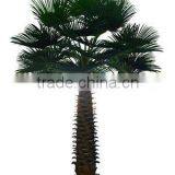 New Style Specail Big Palm Tree