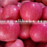 China fruit Fuji apples