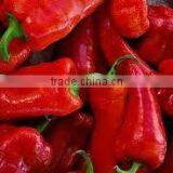 Oleoresin Capsicum Case No : 5269 thumbnail-1