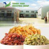 Yummy Food Industrial Group company overview - view 3 thumbnail