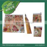 Printed pp Zipper Bag