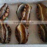 Frozen Abalone With Shell for Sale
