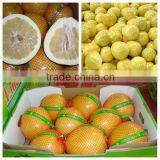 Grapefruit Pomelo Packed in 11kg With Pallet thumbnail-3